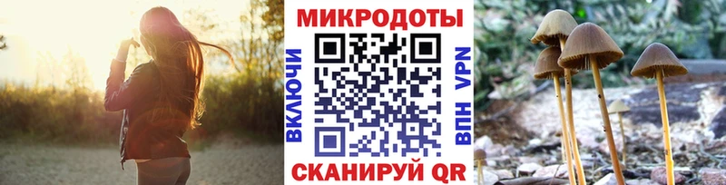 Галлюциногенные грибы Psilocybine cubensis  Купить где  Мосальск 