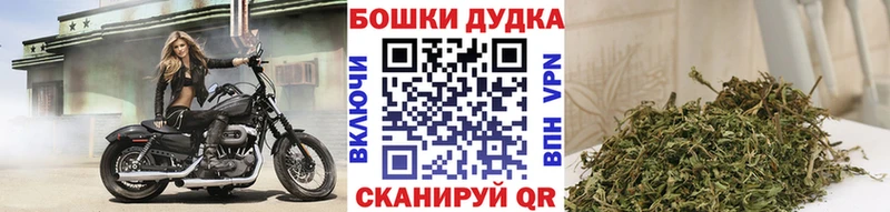 МАРИХУАНА индика  Купить  Мосальск 